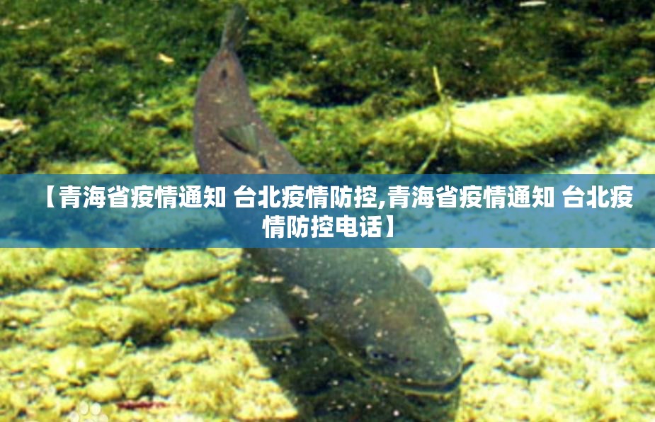 【青海省疫情通知 台北疫情防控,青海省疫情通知 台北疫情防控电话】