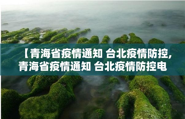 【青海省疫情通知 台北疫情防控,青海省疫情通知 台北疫情防控电话】