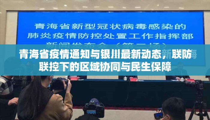 青海省疫情通知与银川最新动态，联防联控下的区域协同与民生保障