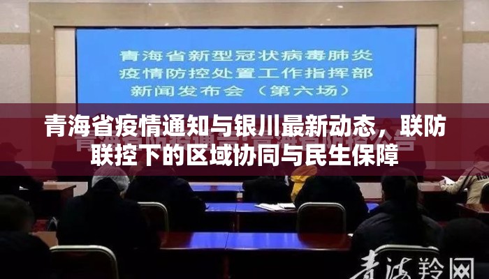 青海省疫情通知与银川最新动态，联防联控下的区域协同与民生保障