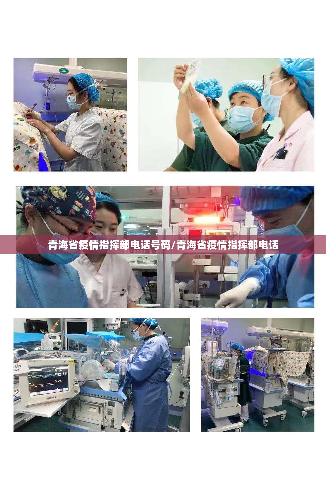 青海省疫情指挥部电话号码/青海省疫情指挥部电话