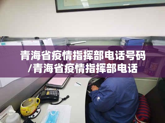 青海省疫情指挥部电话号码/青海省疫情指挥部电话
