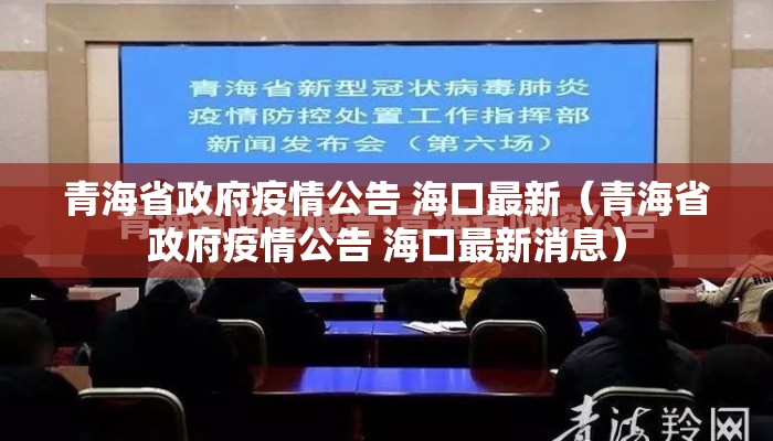 青海省政府疫情公告 海口最新（青海省政府疫情公告 海口最新消息）