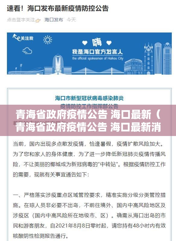 青海省政府疫情公告 海口最新（青海省政府疫情公告 海口最新消息）