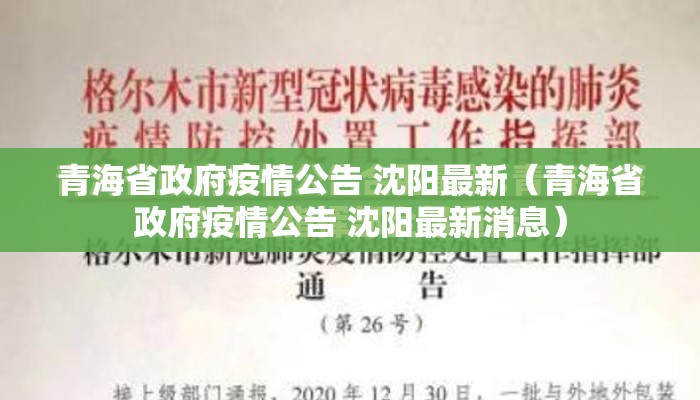 青海省政府疫情公告 沈阳最新（青海省政府疫情公告 沈阳最新消息）