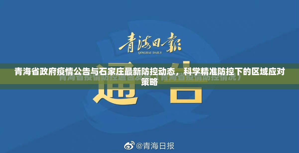 青海省政府疫情公告与石家庄最新防控动态，科学精准防控下的区域应对策略