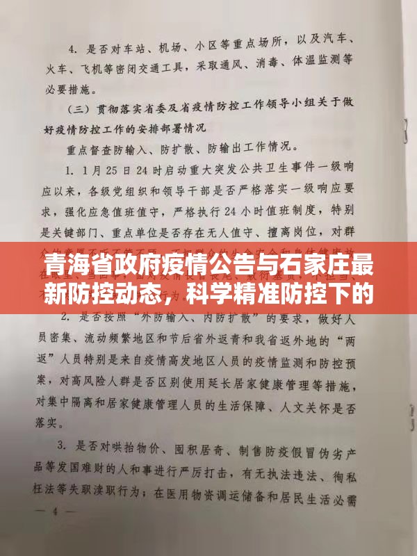 青海省政府疫情公告与石家庄最新防控动态，科学精准防控下的区域应对策略