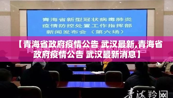 【青海省政府疫情公告 武汉最新,青海省政府疫情公告 武汉最新消息】