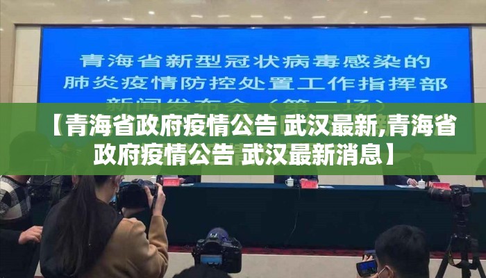 【青海省政府疫情公告 武汉最新,青海省政府疫情公告 武汉最新消息】