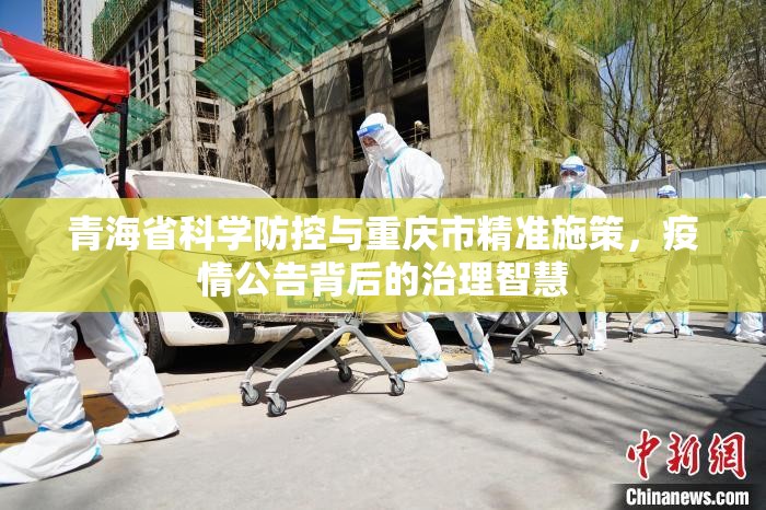 青海省科学防控与重庆市精准施策，疫情公告背后的治理智慧