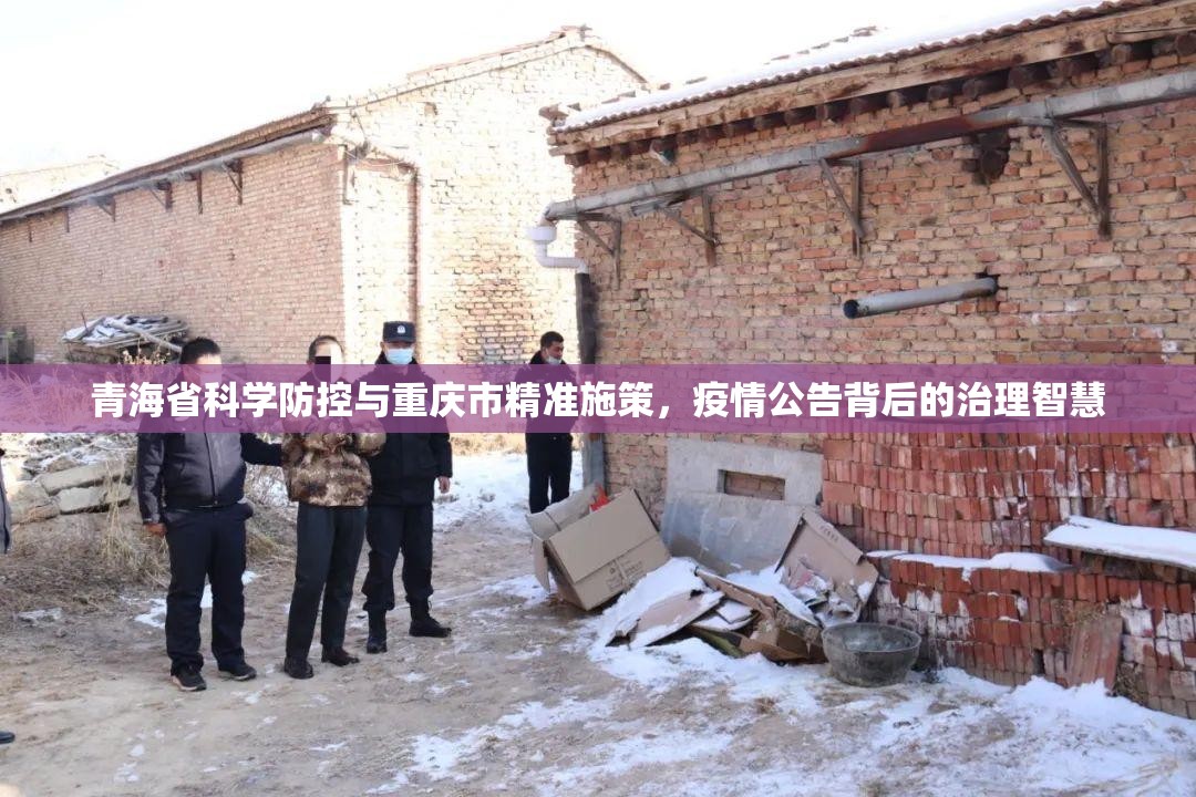 青海省科学防控与重庆市精准施策，疫情公告背后的治理智慧