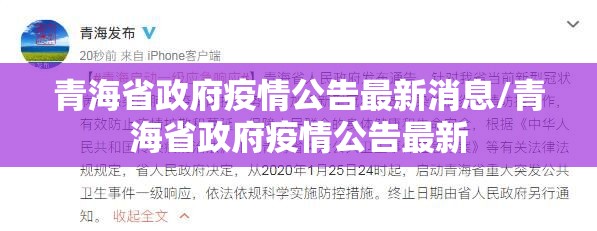 青海省政府疫情公告最新消息/青海省政府疫情公告最新
