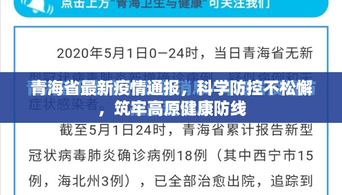 青海省最新疫情通报，科学防控不松懈，筑牢高原健康防线