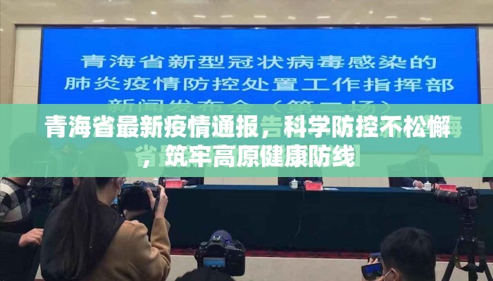青海省最新疫情通报，科学防控不松懈，筑牢高原健康防线