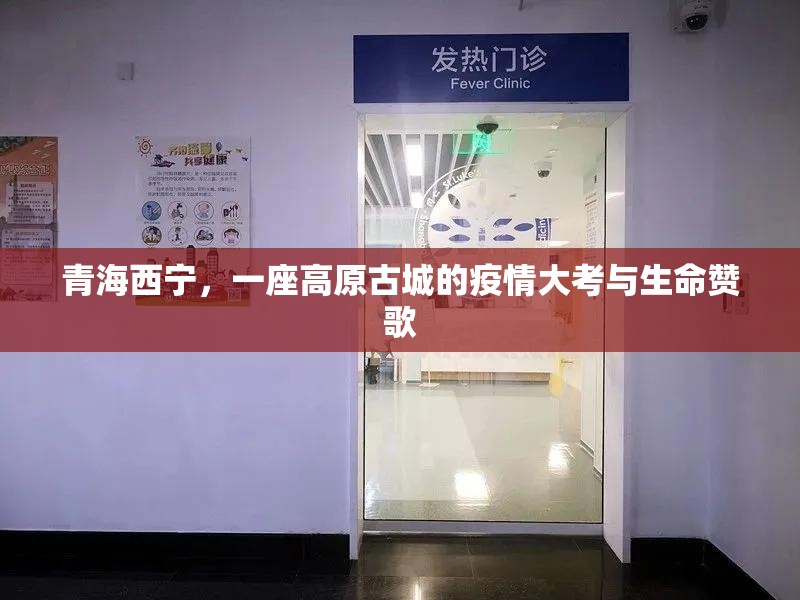 青海西宁，一座高原古城的疫情大考与生命赞歌