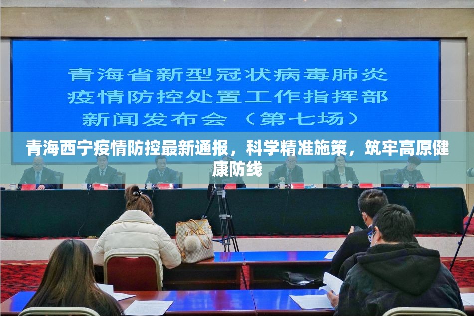 青海西宁疫情防控最新通报，科学精准施策，筑牢高原健康防线