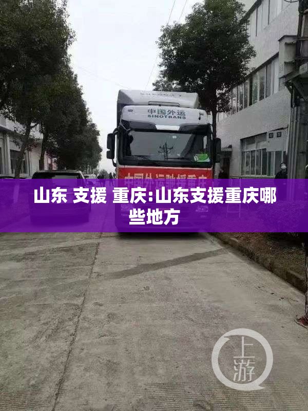 山东 支援 重庆:山东支援重庆哪些地方