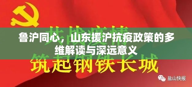 鲁沪同心，山东援沪抗疫政策的多维解读与深远意义