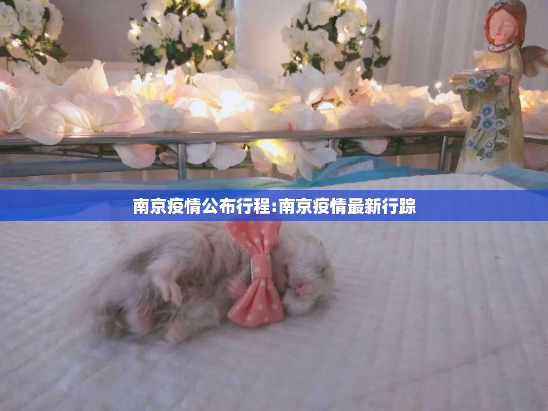上海境内疫情（上海境内疫情最新情况）