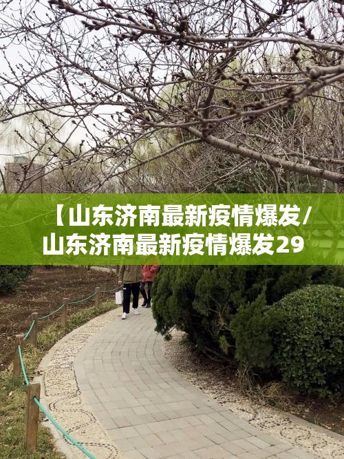 【山东济南最新疫情爆发/山东济南最新疫情爆发29】