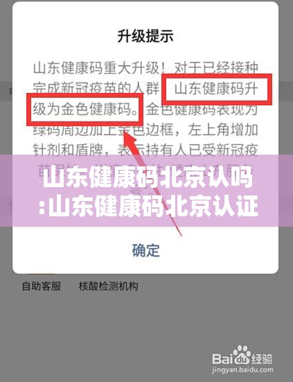 山东健康码北京认吗:山东健康码北京认证吗