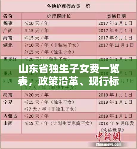 山东省独生子女费一览表，政策沿革、现行标准与申领指南全解析