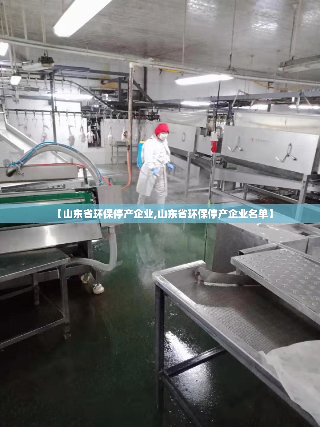 【山东省环保停产企业,山东省环保停产企业名单】