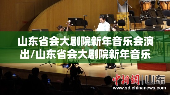 山东省会大剧院新年音乐会演出/山东省会大剧院新年音乐会