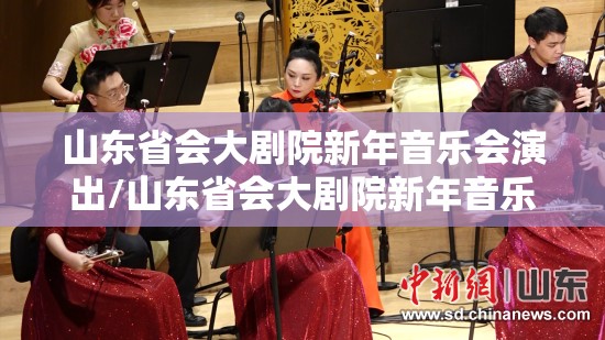 山东省会大剧院新年音乐会演出/山东省会大剧院新年音乐会