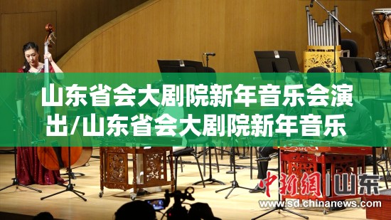 山东省会大剧院新年音乐会演出/山东省会大剧院新年音乐会