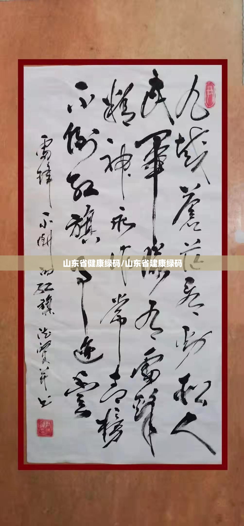 山东省健康绿码/山东省建康绿码