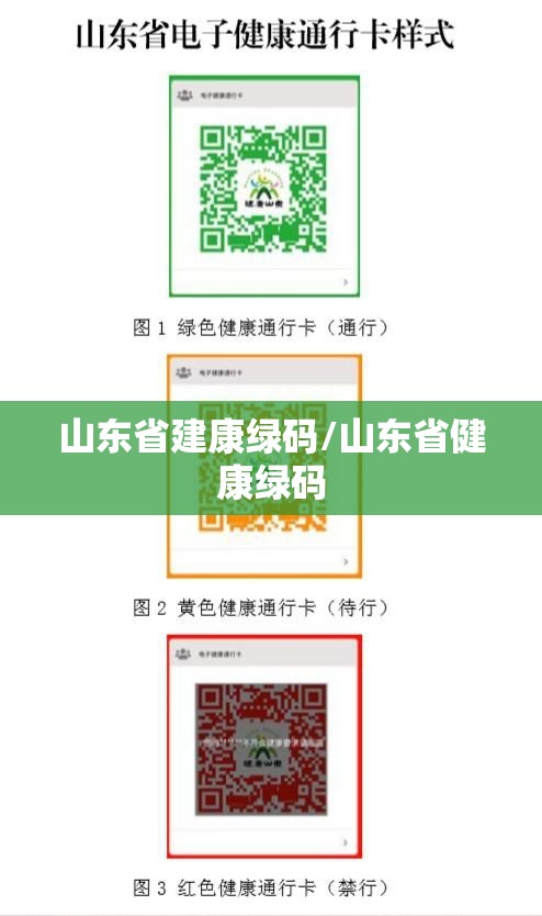 山东省建康绿码/山东省健康绿码