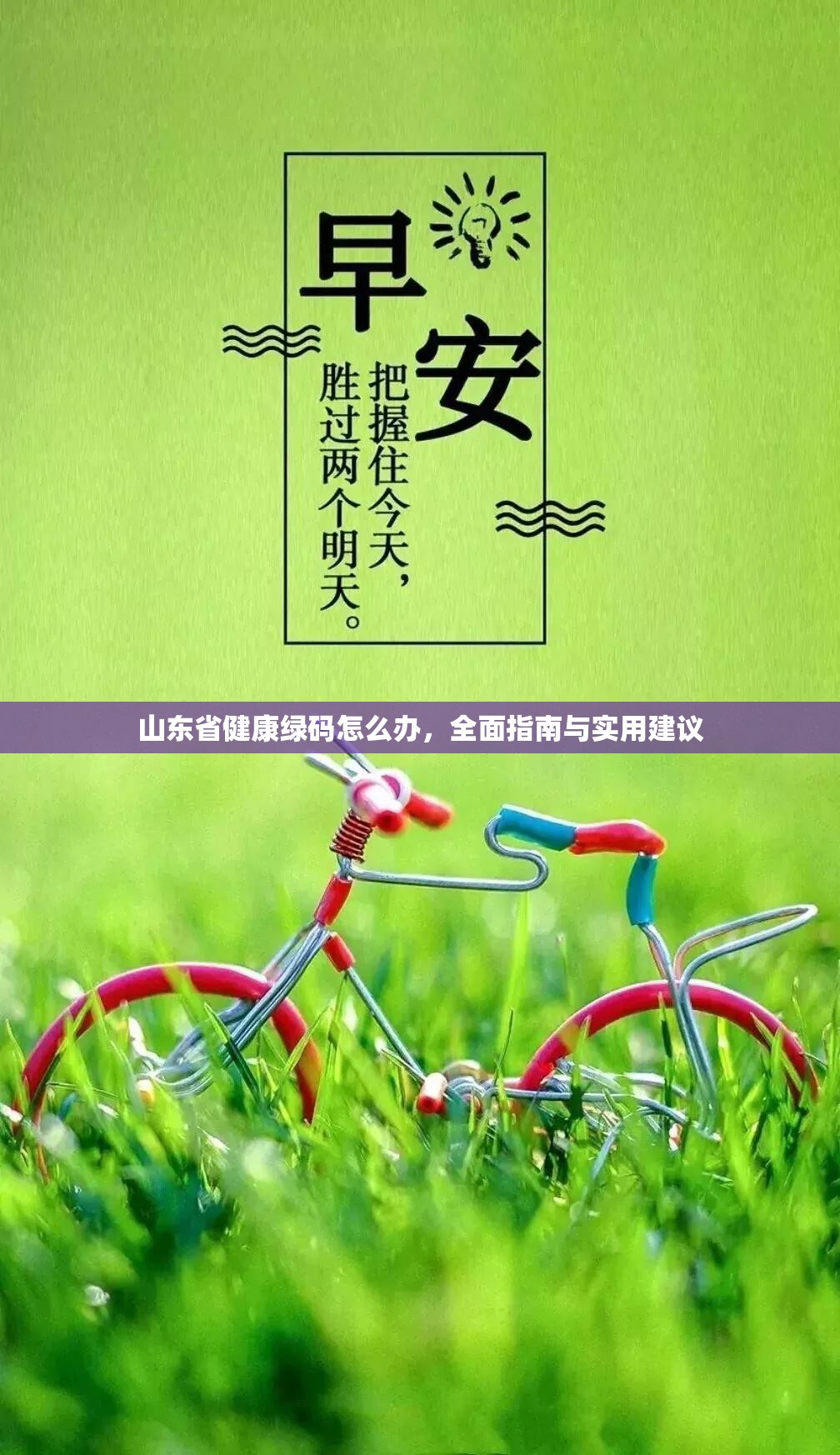 山东省健康绿码怎么办，全面指南与实用建议