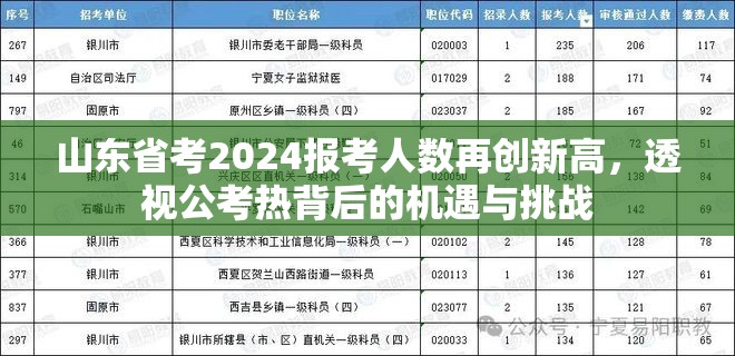 山东省考2024报考人数再创新高，透视公考热背后的机遇与挑战
