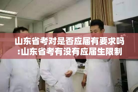 山东省考对是否应届有要求吗:山东省考有没有应届生限制