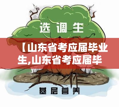 【山东省考应届毕业生,山东省考应届毕业生界定】