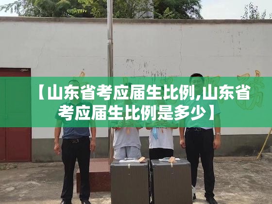 【山东省考应届生比例,山东省考应届生比例是多少】