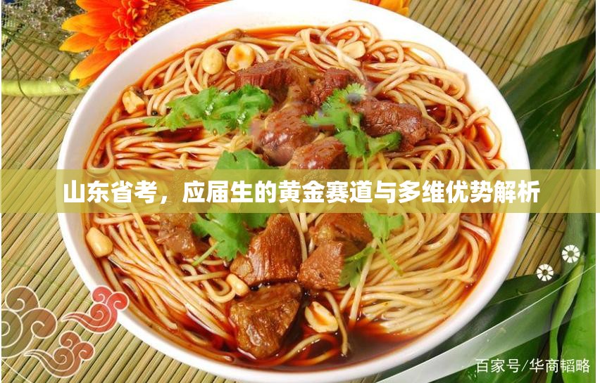 山东省考，应届生的黄金赛道与多维优势解析