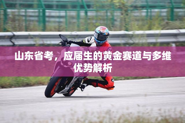 山东省考，应届生的黄金赛道与多维优势解析