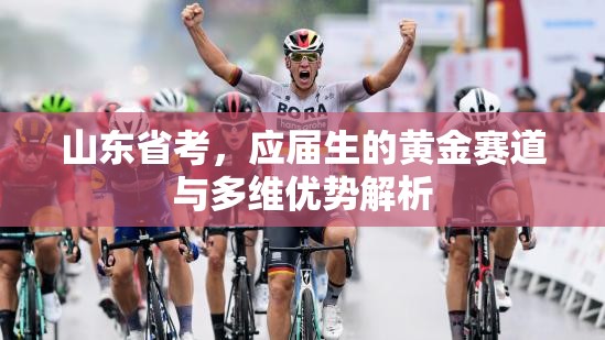 山东省考，应届生的黄金赛道与多维优势解析
