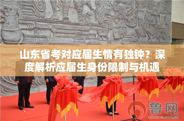 山东省考对应届生情有独钟？深度解析应届生身份限制与机遇