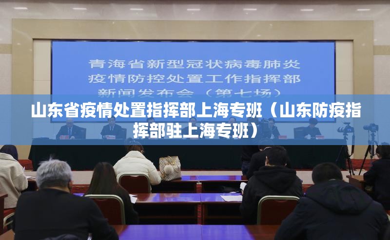 山东省疫情处置指挥部上海专班（山东防疫指挥部驻上海专班）
