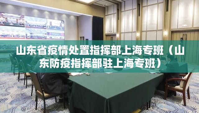 山东省疫情处置指挥部上海专班（山东防疫指挥部驻上海专班）