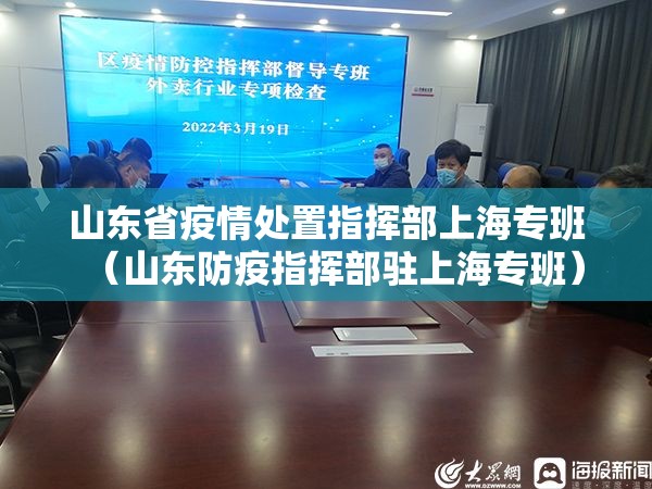 山东省疫情处置指挥部上海专班（山东防疫指挥部驻上海专班）