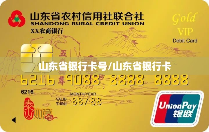 山东省银行卡号/山东省银行卡