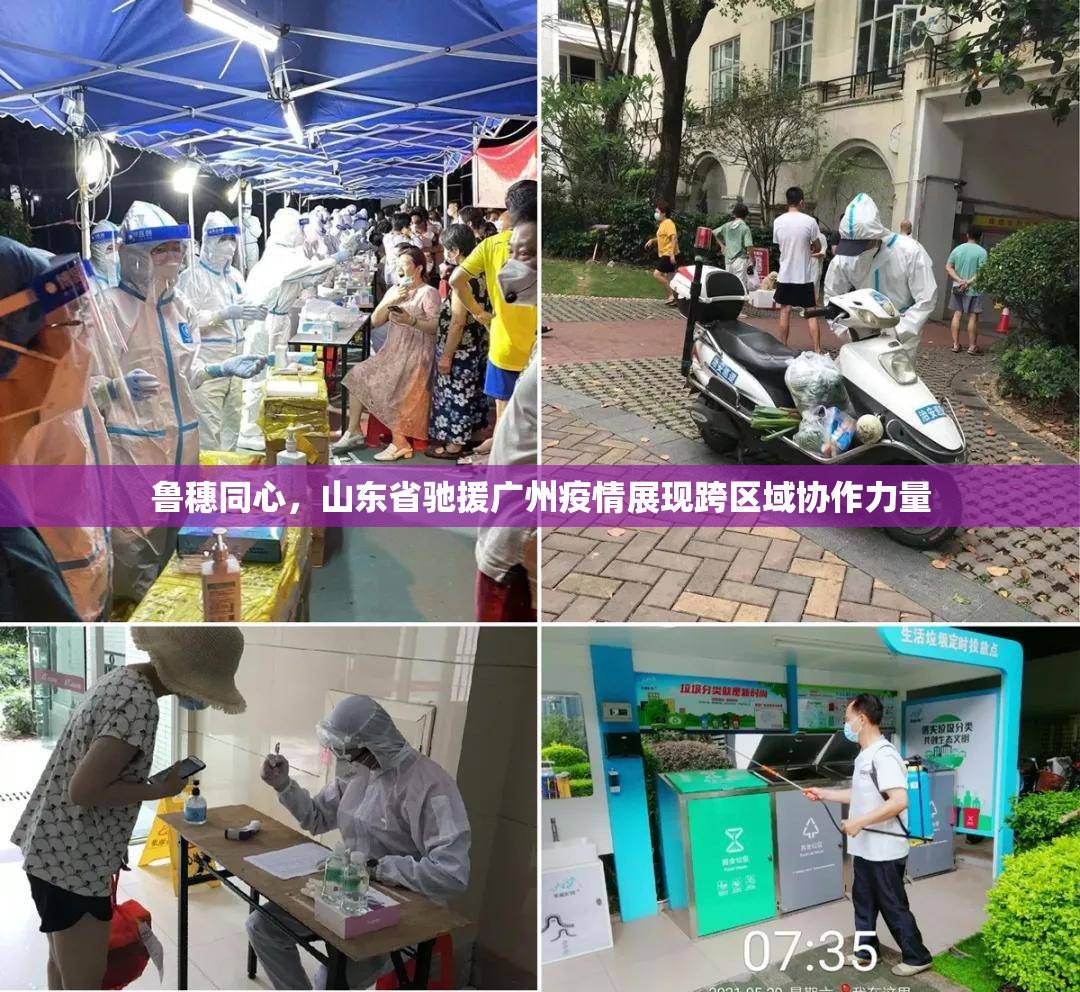鲁穗同心，山东省驰援广州疫情展现跨区域协作力量