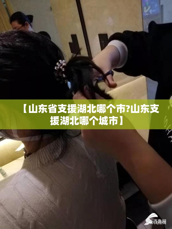 【山东省支援湖北哪个市?山东支援湖北哪个城市】