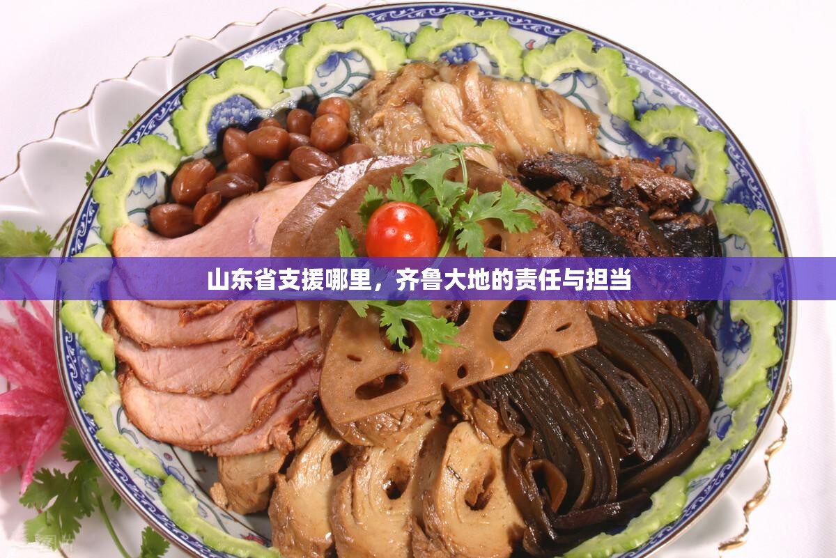 山东省支援哪里，齐鲁大地的责任与担当