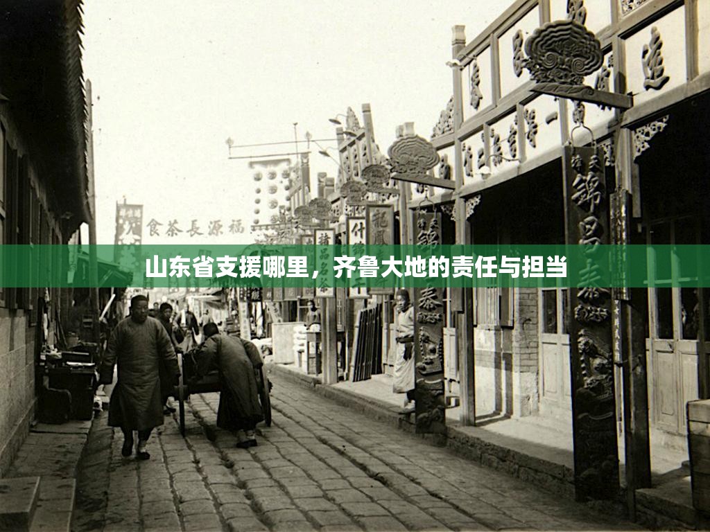 山东省支援哪里，齐鲁大地的责任与担当