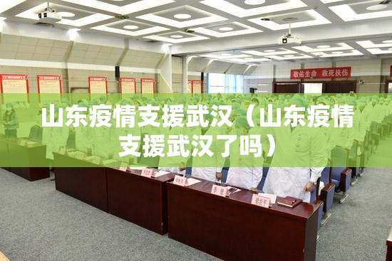 山东疫情支援武汉（山东疫情支援武汉了吗）